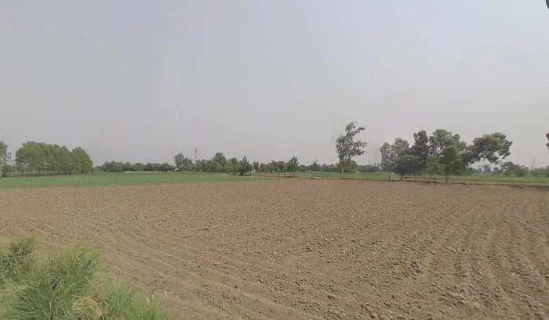 Sagar, Madhya Pradesh, India preview 3