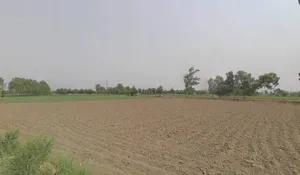 Sagar, Madhya Pradesh, India preview 3