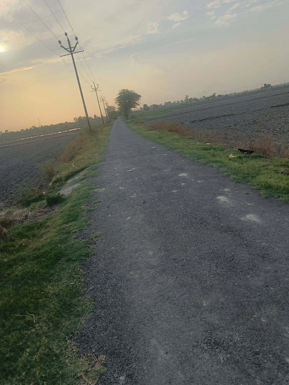 Aou, Rajasthan, India