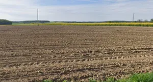 Khargone, Madhya Pradesh 451001, India preview 2