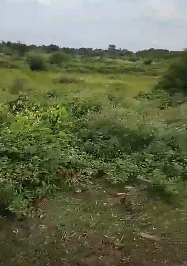 7QJ5+QR6, Raipur, Dhansuli, Chhattisgarh 493111, India