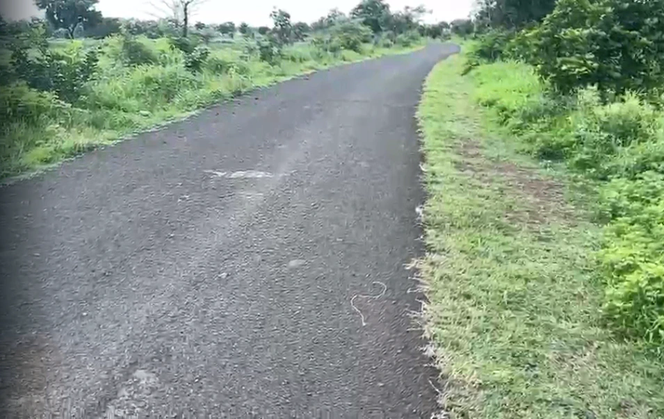 9PMW+PGM, Vikarabad, Tandur - Mominpet Rd, Kotpalli, Telangana 501106, India