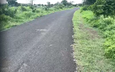 9PMW+PGM, Vikarabad, Tandur - Mominpet Rd, Kotpalli, Telangana 501106, India preview 3
