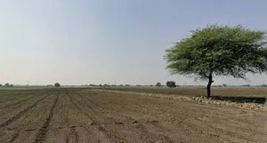 Gindwanya, Madhya Pradesh 456224, India preview 3