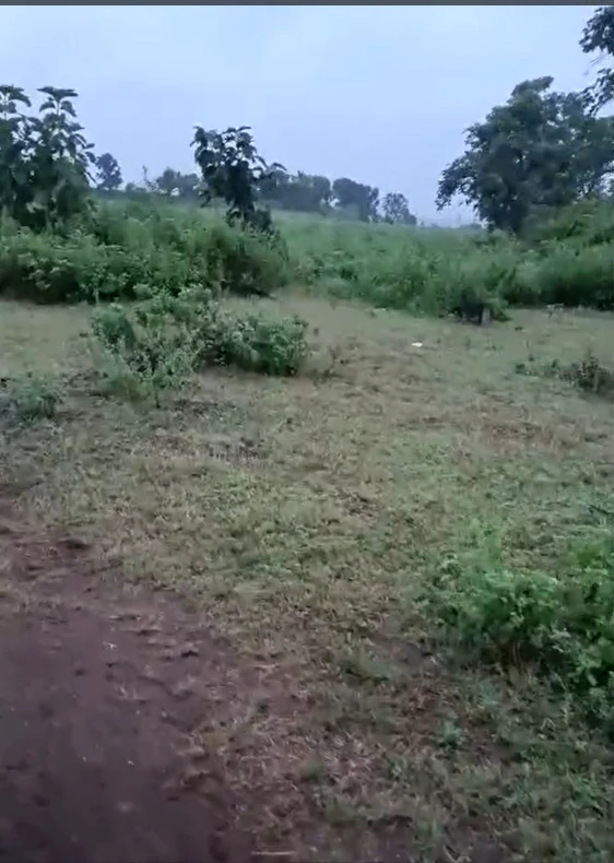 4JGF+82P, Khargone, Kasrawad Rd, Kasrawad, Madhya Pradesh 451228, India