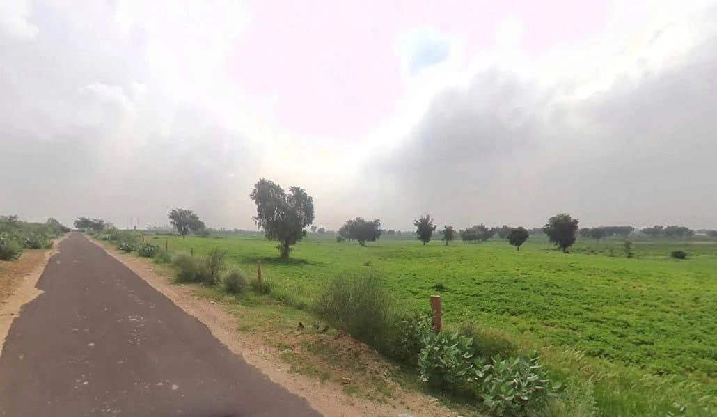 WVM8+576, Arjansar, Rajasthan 334604, India