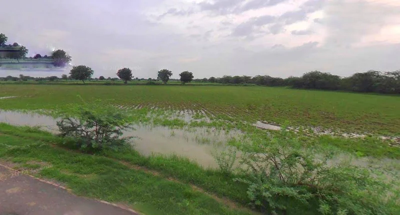 Matehana, Madhya Pradesh 485113, India preview 2