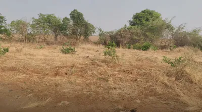 Penukonda, Andhra Pradesh, India preview 3