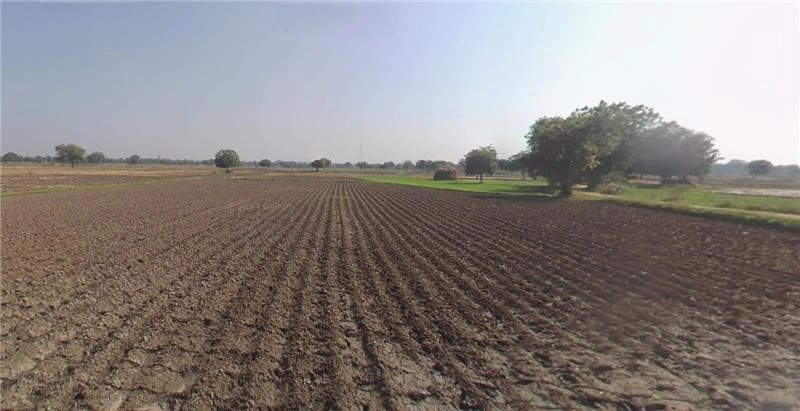 Ghaghosar, Gujarat 363421, India