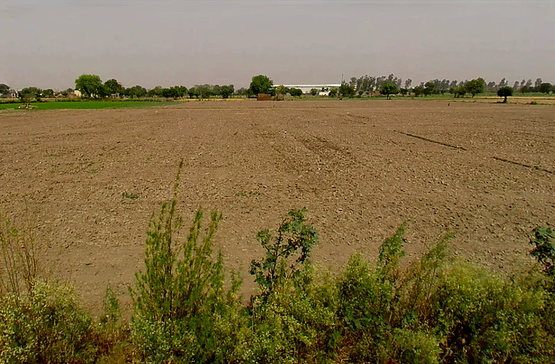 Pirthla, Haryana, India preview 3