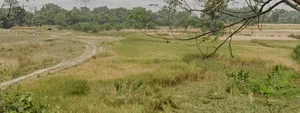 Ullar-Masaurhi Rd, Ichipur, Bihar, India preview 2