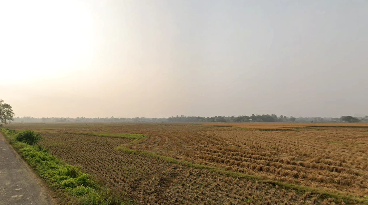 H9V5+W5R, Haradhole Ln, Beniatola, Kolkata, West Bengal 700005, India