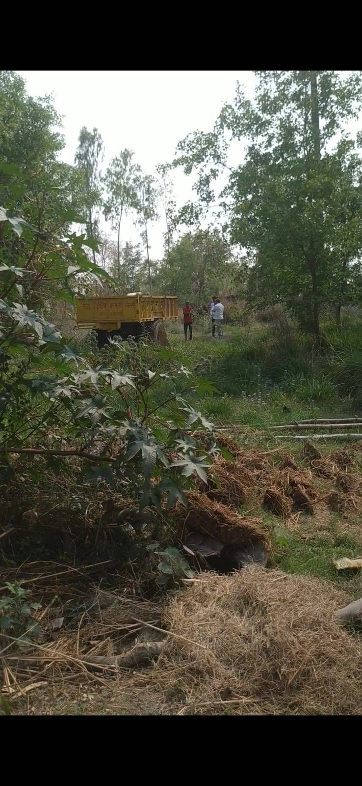 Dhan Ghata, Uttar Pradesh 272162, India