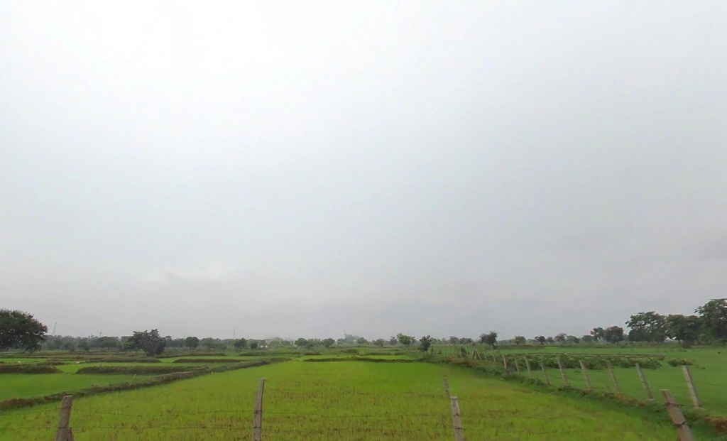 Pond, Chhattisgarh 493661, India