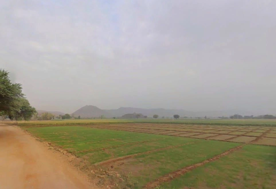 JJHP+C7V, Jahar Khera, Ulaheri, Rajasthan 301001, India