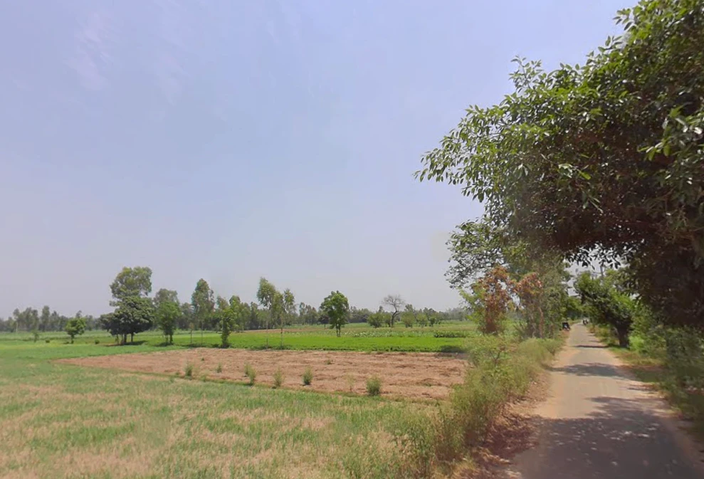Dhanaura, Uttar Pradesh 244231, India