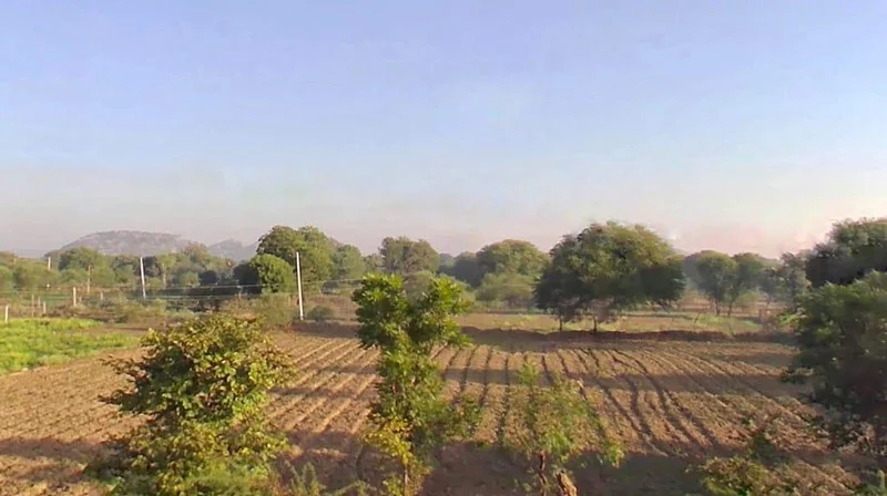 R3Q2+M59, Dada Bari Rd, near Gram panchayat, Sanganer, Bassi, Rajasthan 303301, India preview 3