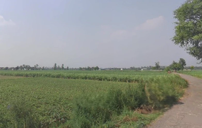 Sardhana, Uttar Pradesh 250342, India