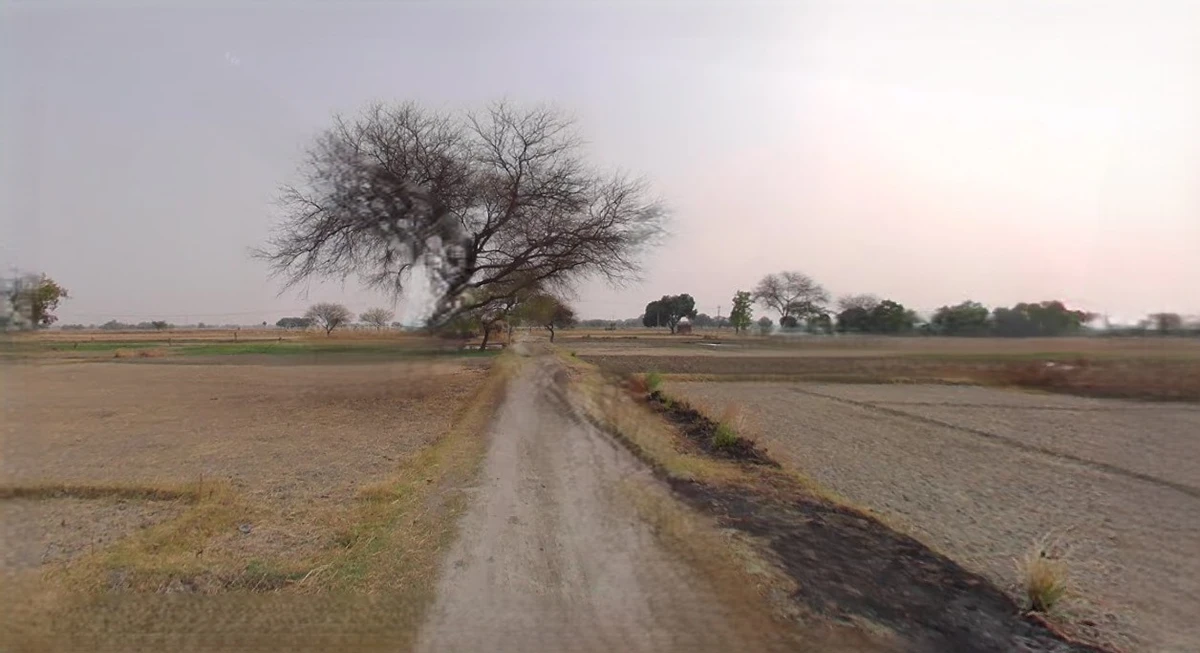 Bijnor, Uttar Pradesh 246701, India