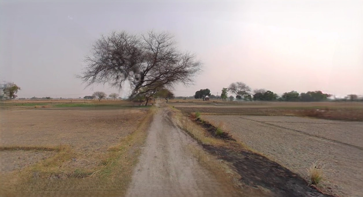 Bijnor, Uttar Pradesh 246701, India