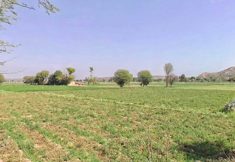 GGGR+55 Paitpur, Rajasthan, India preview 2