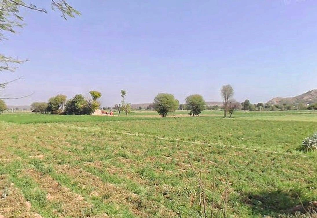 GGGR+55 Paitpur, Rajasthan, India