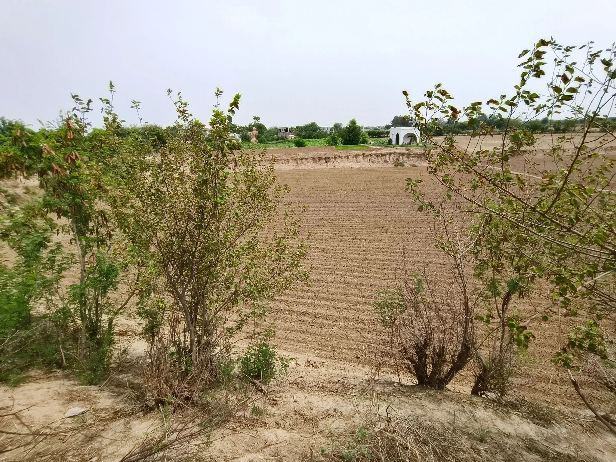 Jatwara, Haryana 124109, India - Photo 1