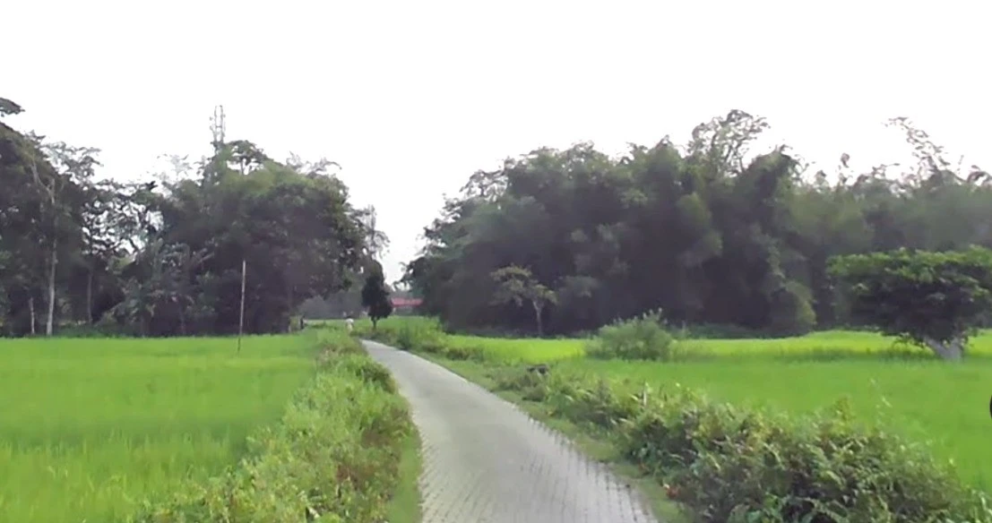 Narsinghpur, Madhya Pradesh 487001, India