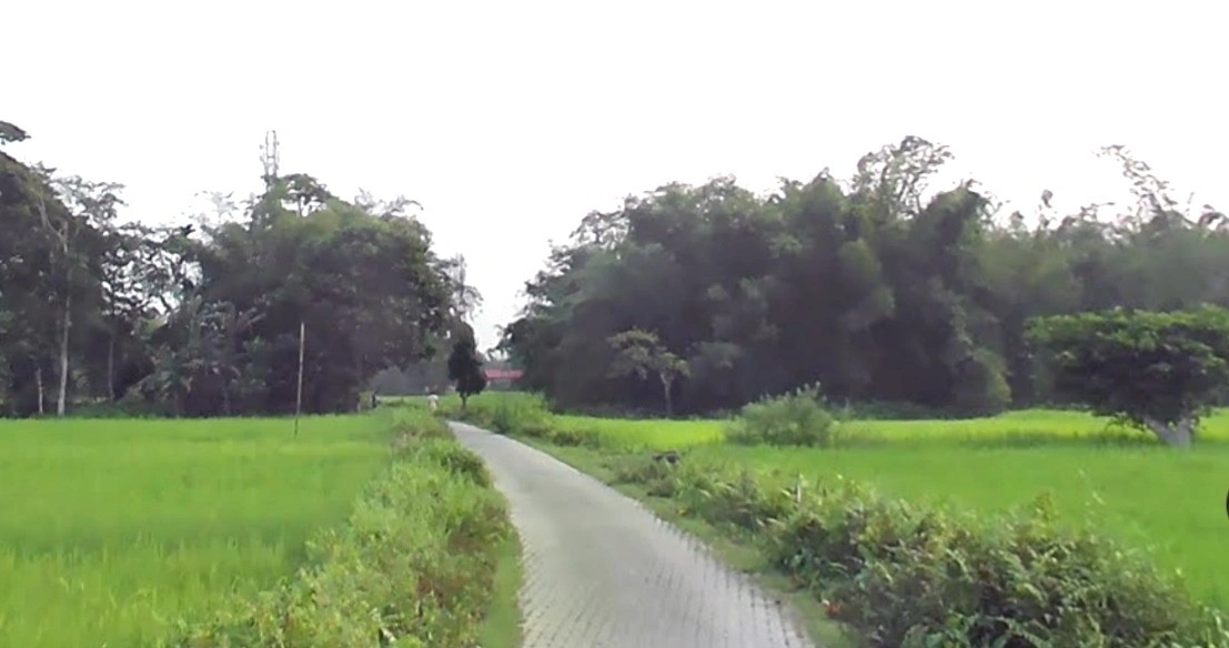 Narsinghpur, Madhya Pradesh 487001, India