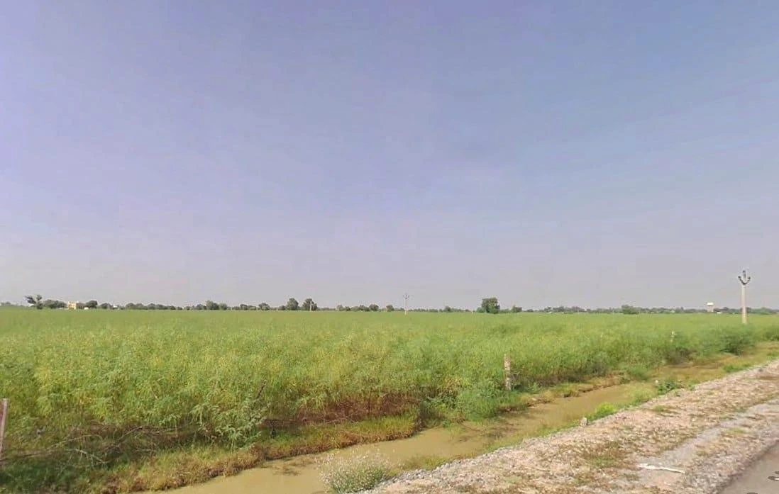 628R+63R, Sonkhar Rural, Rajasthan 321606, India