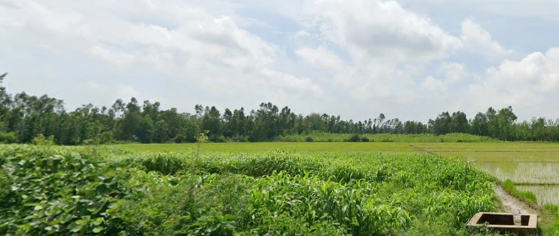 WR3R+7FV, MDR 65W, Sirswan Gaur, Uttar Pradesh 244402, India preview 2