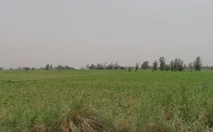 Rafan, Uttar Pradesh 250401, India preview 3