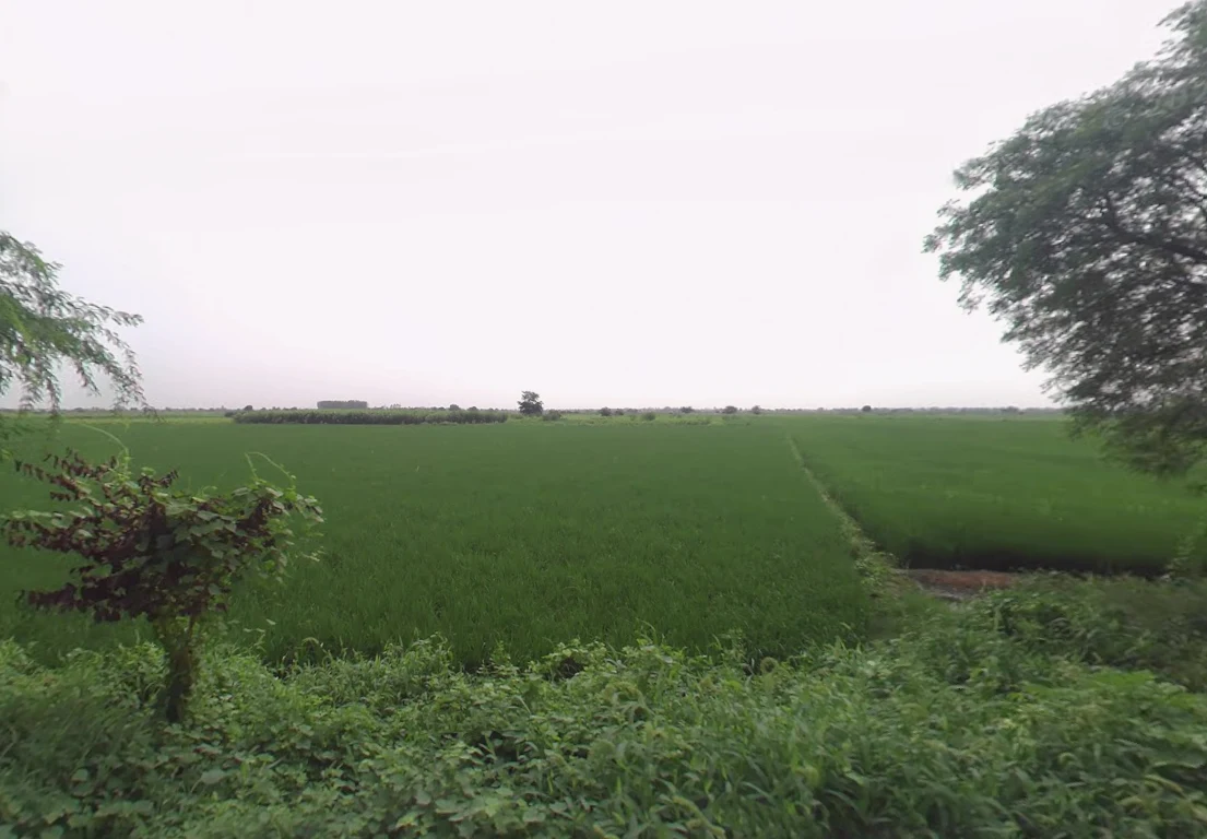 X8CR+FWC, NH 19, Khatela Sarai, Haryana 121105, India preview 3