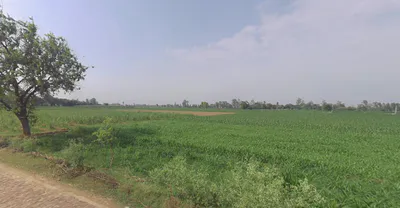 Dhanaura, Uttar Pradesh 244231, India preview 2