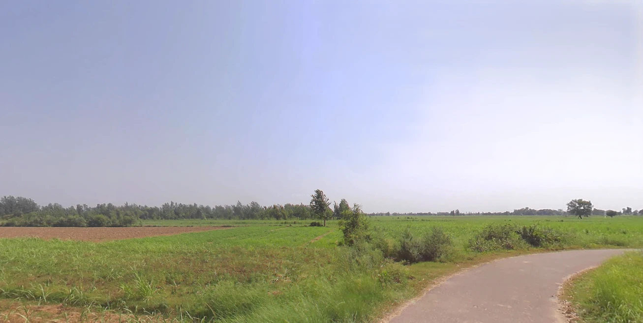 Shyampur, Uttar Pradesh 245101, India