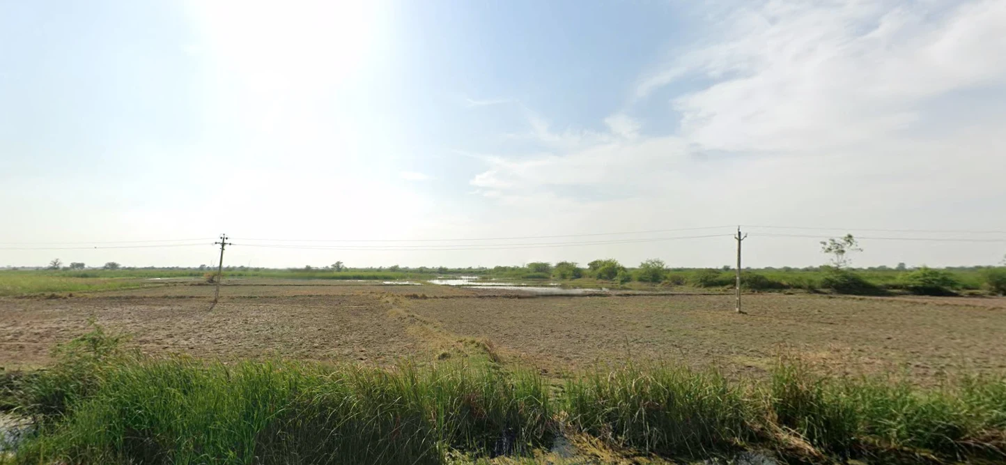 Panihari, Haryana 125121, India