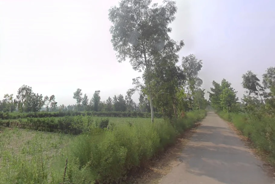 Bisawali Musta, Uttar Pradesh 244225, India