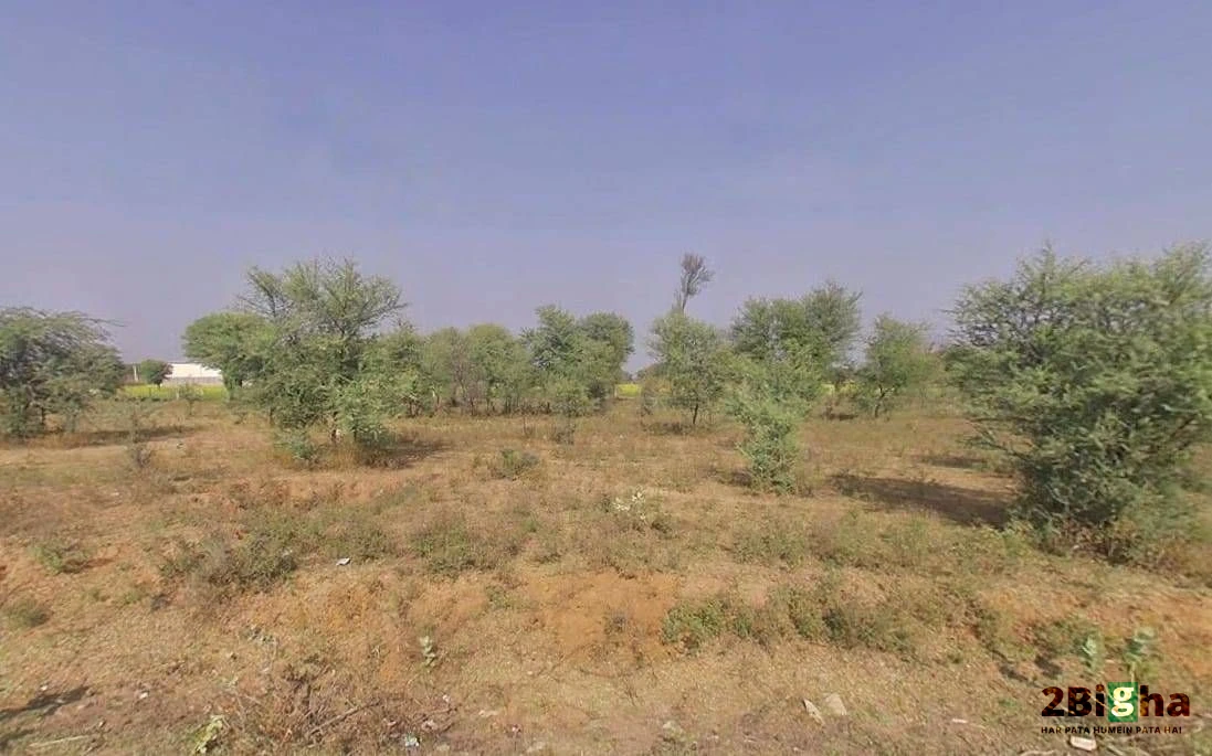 Ajmer NH-8, Ajmer Rd Beawar, Beawar, Rajasthan 305901, India