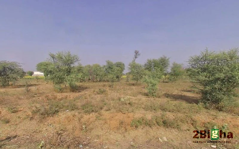 Ajmer NH-8, Ajmer Rd Beawar, Beawar, Rajasthan 305901, India preview 3