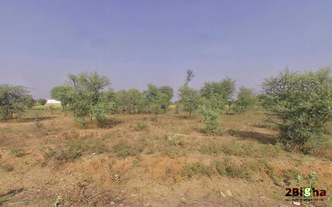 Ajmer NH-8, Ajmer Rd Beawar, Beawar, Rajasthan 305901, India