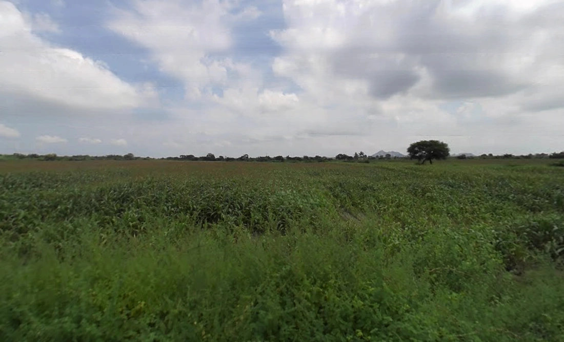 6W66+X5 Lakshmi Nagar Camp, Karnataka, India