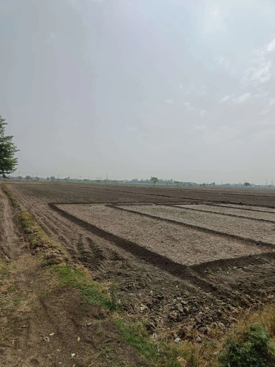 Aou, Rajasthan, India preview 3