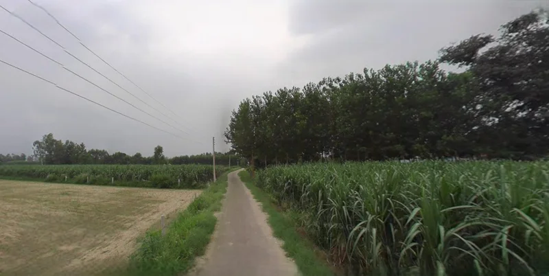 Mahendragarh, Haryana 123029, India preview 2