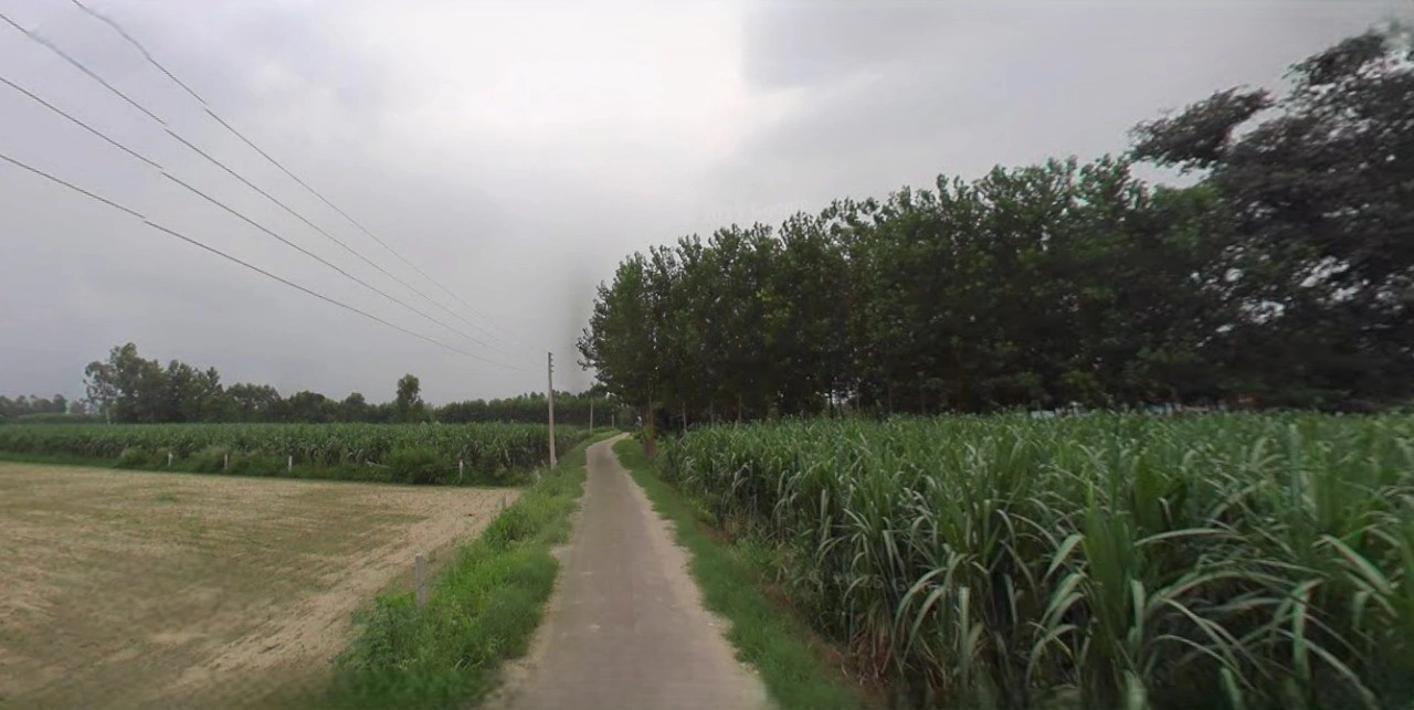 Mahendragarh, Haryana 123029, India