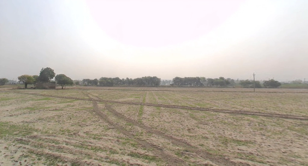 Samalkha, Haryana, India