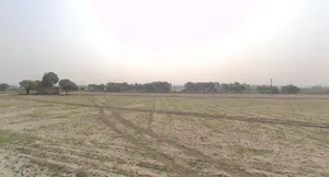 Samalkha, Haryana, India preview 3