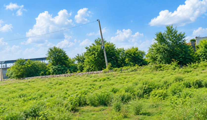 7595+JG2, Kota, Sultanpur, Rajasthan 325204, India