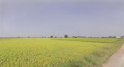 Jodhka, Haryana 125058, India preview 3