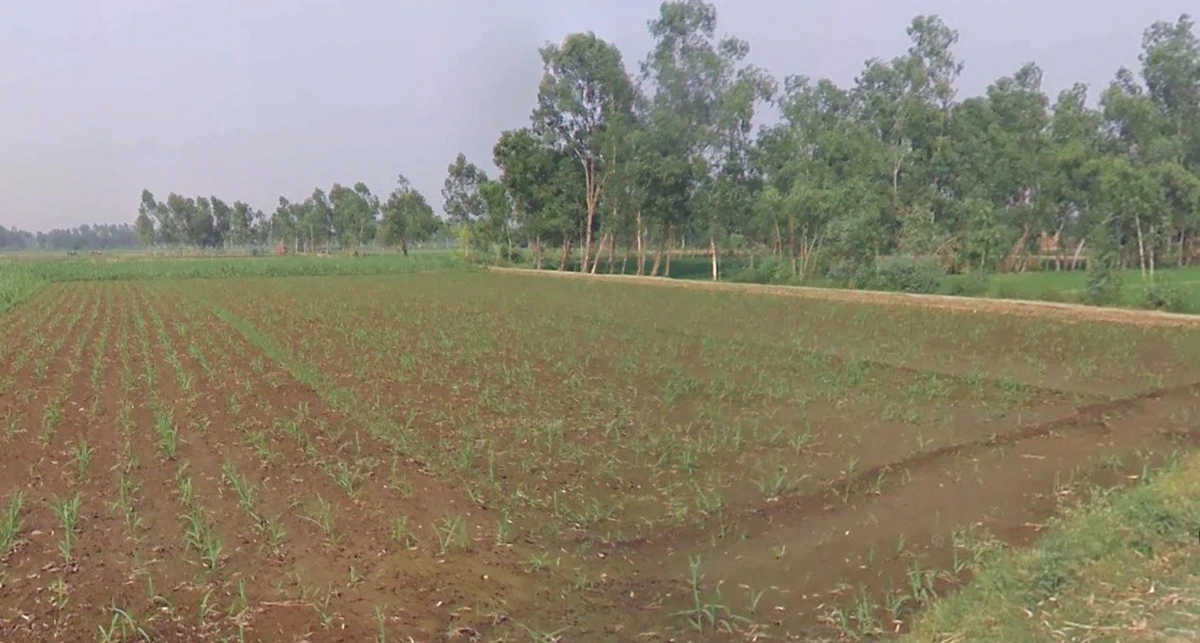 Tukrana, Madhya Pradesh 465001, India