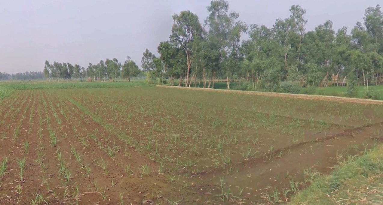 Tukrana, Madhya Pradesh 465001, India